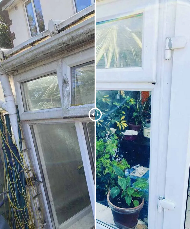 Professional Window Cleaning Solutions