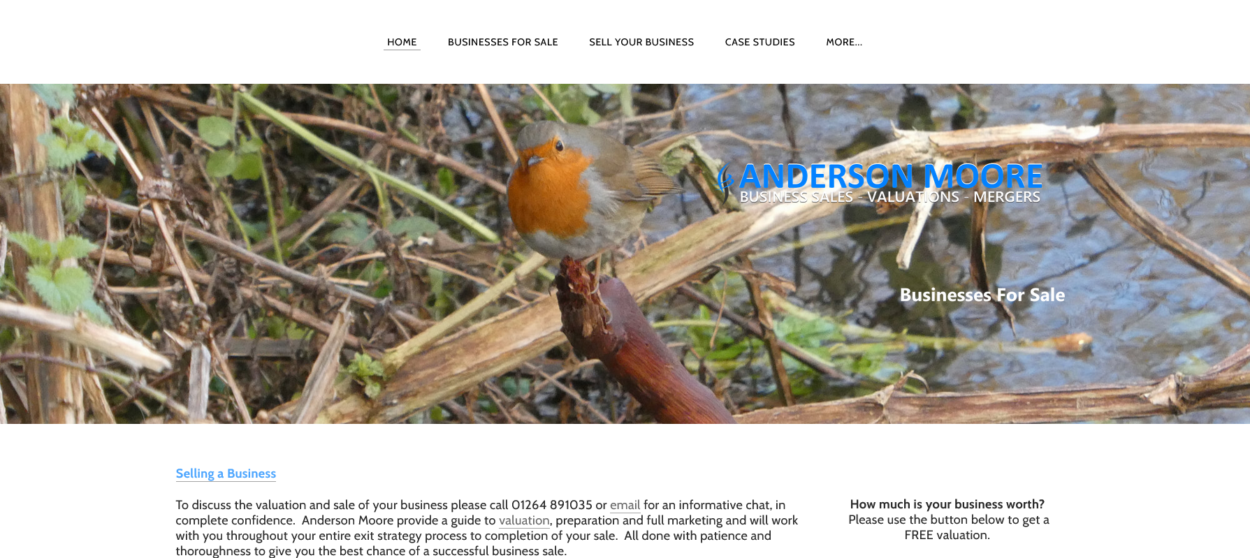 Anderson Moore Website Screenshot 001