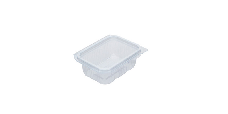Plastic Hinged Salad Containers