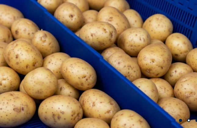 Conveyer Solutions for Food Manufacturing