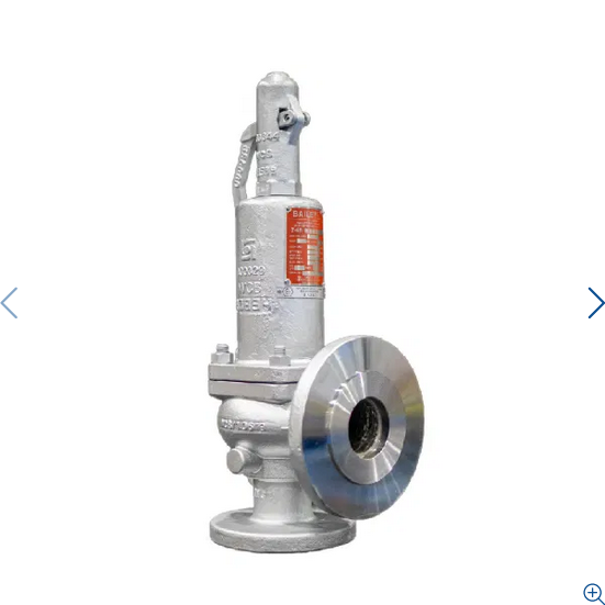 Bailey 746 Safety Relief Valve