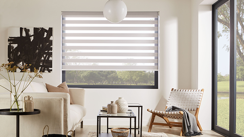 Day & Night Blinds
