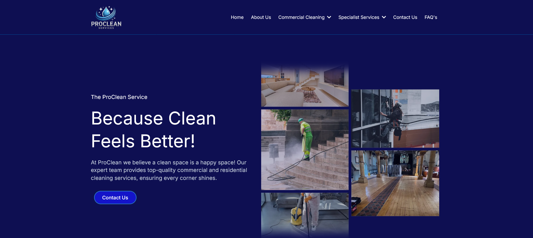 ProClean Services Website Screenshot 001