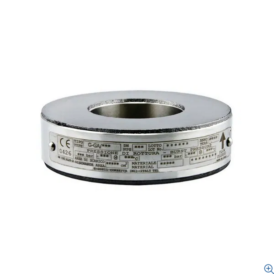 FSGGAG - Graphite Rupture Discs