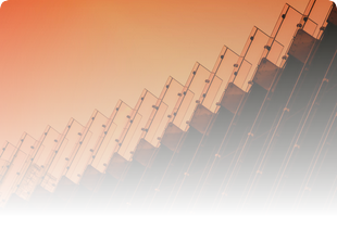 SEO & Brand Visibility