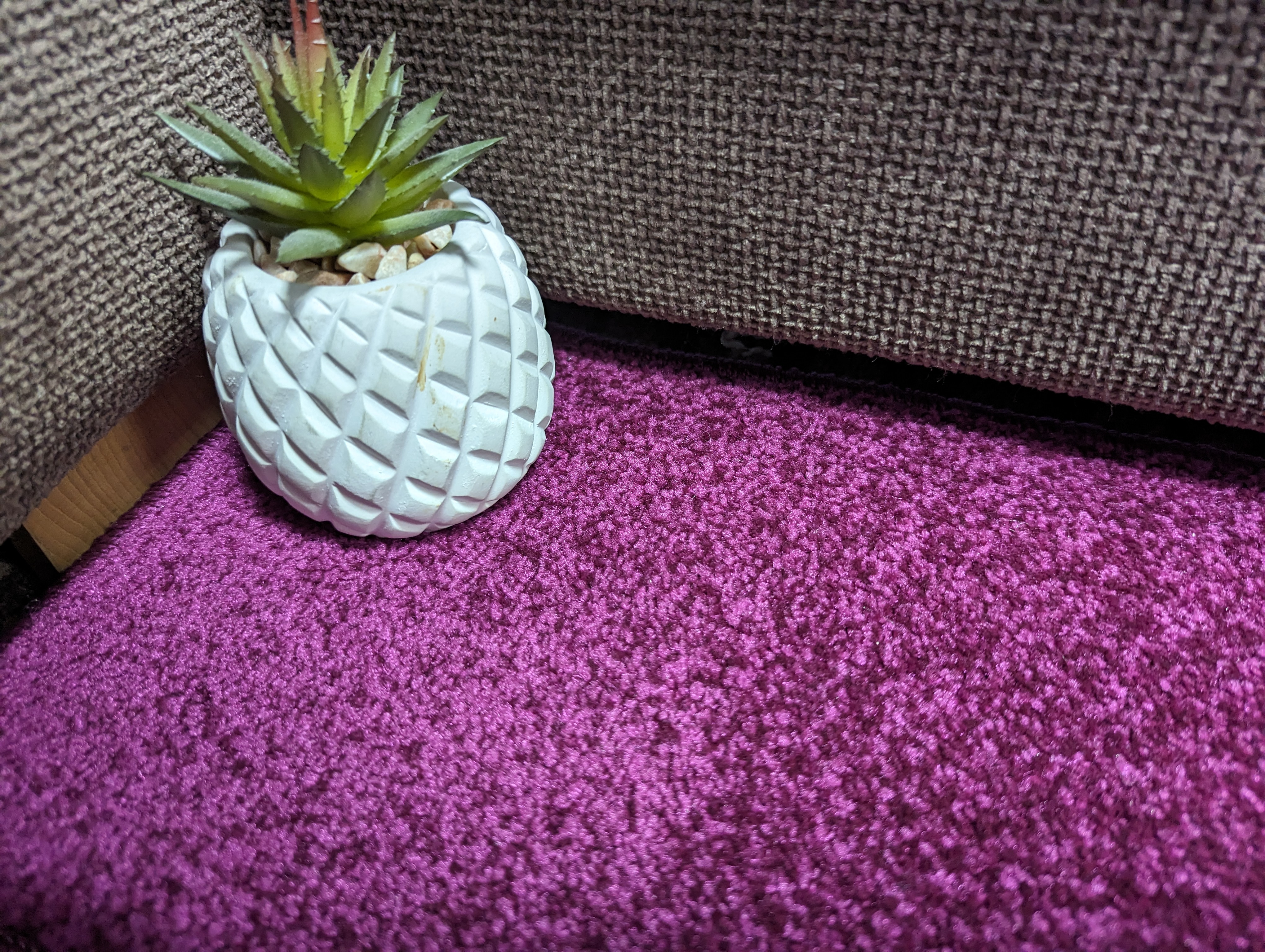Purple Carpet
