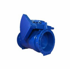 Non Return Check Valves