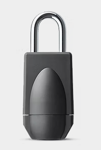 Electronic Padlocks