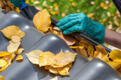 Gutter Cleaning
