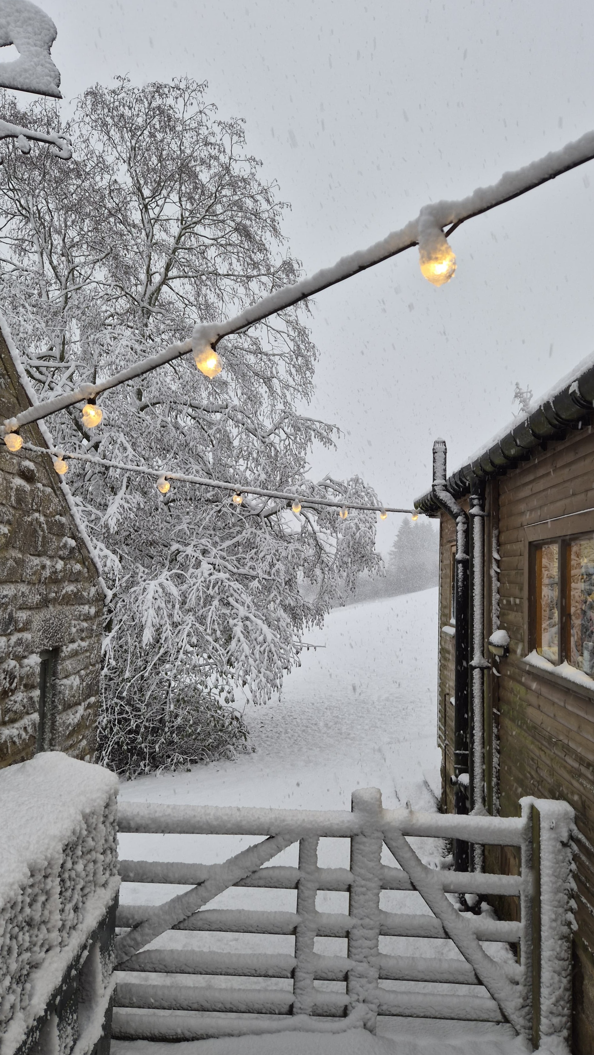 Happy New Year from The Lumisphere Team!