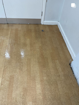 Floor Stripping & Sealing
