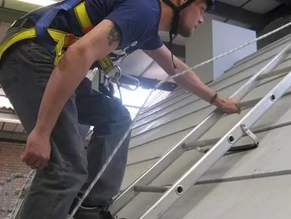Fall Arrest Systems for Portable Ladders