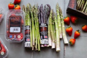 Protecting Beaulieu River - Supporting new forest fruits