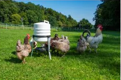 38510005030. 24 Litre Plastic Tripod Poultry Trap Drinker