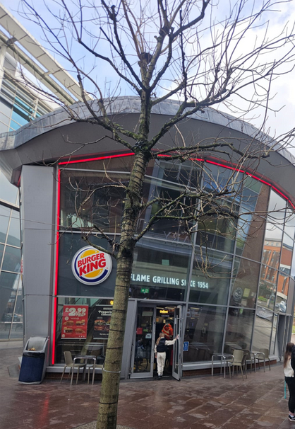 Commercial Window Cleaning