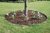 &ldquo;EverEdge Is Ready For 2014&rdquo;