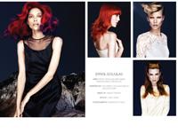 Good Salon Guide Release ''The Collections''