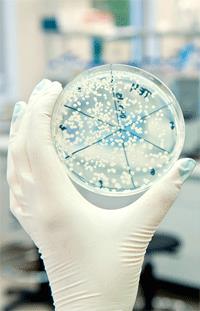 The Top Germ Hot-Spots That Could Affect Your Health