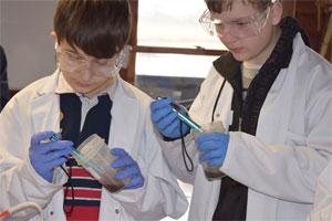 Measuring PH using the Myron L PTII Pens