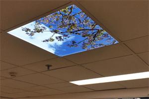 Introducing New LumiTiles.