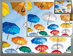 Displays, RDS, Review Display Systems