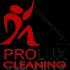 Prolux carpet cleaning