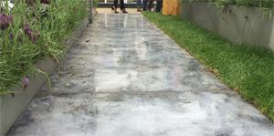 Guruve Stand - RHS Chelsea Flower Show 2016