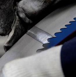 Dynashape wins Jaguar Land Rover service contract