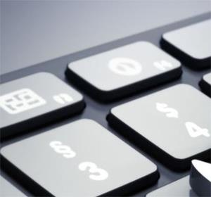 Wordpress monitoring and update service