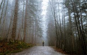 The Right to Be Forgotten &minus; Ongoing Challenges of Data Privacy 