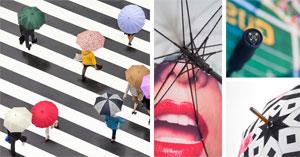 We are pleased to announce the launch of our brand new website!