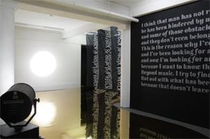 Harlequin Hi-Shine golden in The Hague