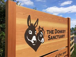 Signage Inspiration: Ideas for the Summer