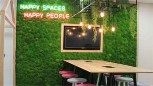 The Benefits of Biophilic Workplace Design