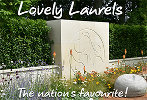 Lovely Laurels