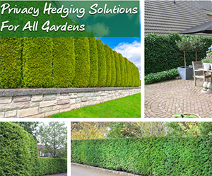 Hedging For Privacy: 