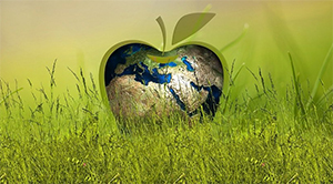 Why Sustainability Will Still be a Buzz Word in 2020