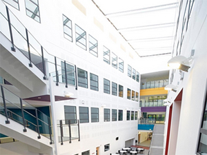 The Right Start From Ferwood 