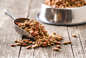 Consumer demand drives the need for production scale freeze dried pet food