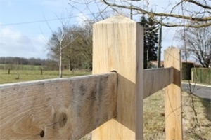 The benefits of using Oak