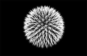 How we beat Norovirus in Schools