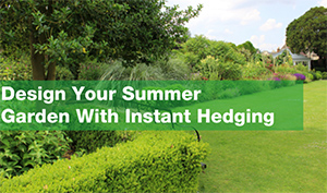 Design your summer garden with instant hedging