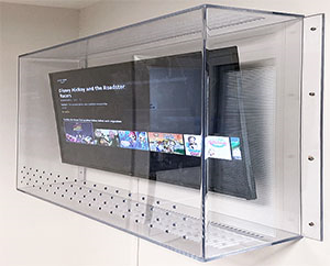 Introducing Wall Mounted TV Covers