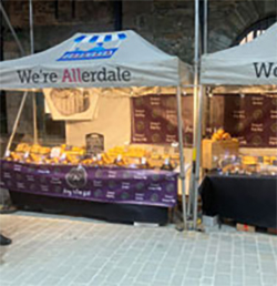 IP65 LED Floodlights for Markets, Fairs & Events