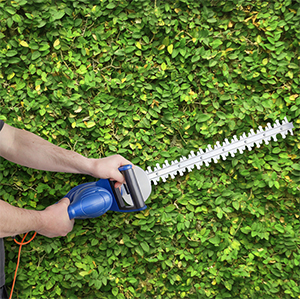 Are your hedges looking a bit overgrown? Are you losing out on garden space due to overhanging, unruly branches?