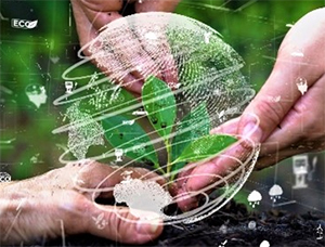 BPS Crowthorne Moves Toward a Greener Future