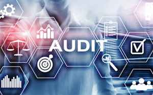 What will a website audit tell me?