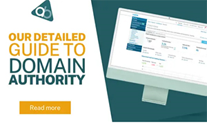 Guide To Domain Authority & How You Can Boost It