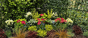 What''s Popular Now?