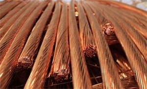 Launching Eland Cables'' new Cable Recycling Service